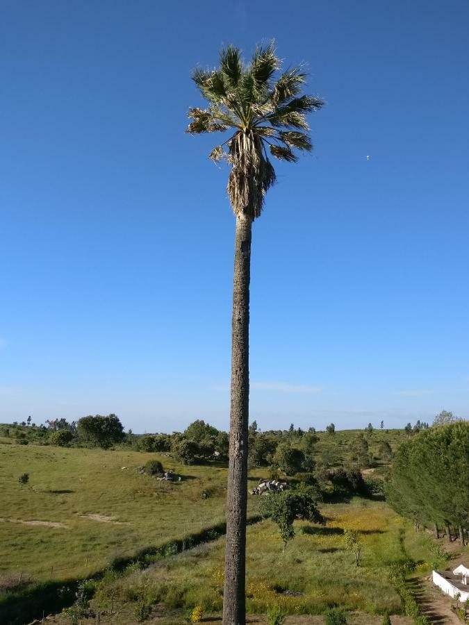 Quinta Da Abrunheira - Gustavo Eiffel Pension Ciborro Buitenkant foto