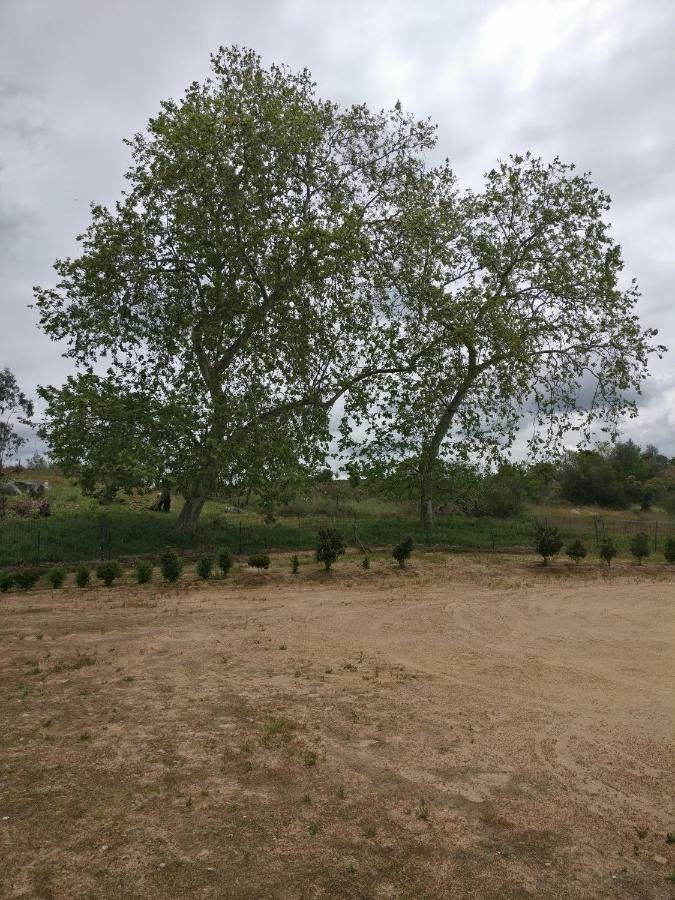 Quinta Da Abrunheira - Gustavo Eiffel Pension Ciborro Buitenkant foto