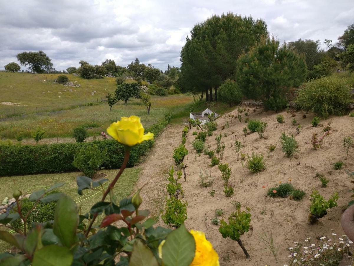 Quinta Da Abrunheira - Gustavo Eiffel Pension Ciborro Buitenkant foto